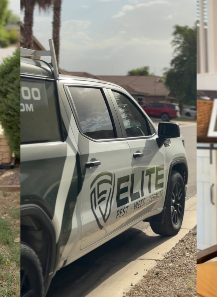 Tyler Batt, owner of Elite Pest and Termite AZ in Queen Creek, Arizona
